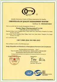 ISO 9001